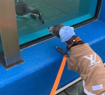 おでかけが大好き♪