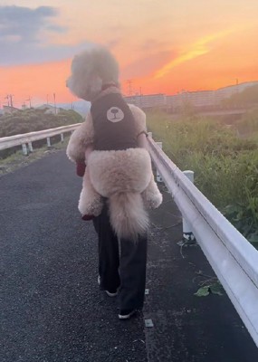 親子のような光景にホッコリ