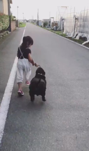 わんこと子供たち