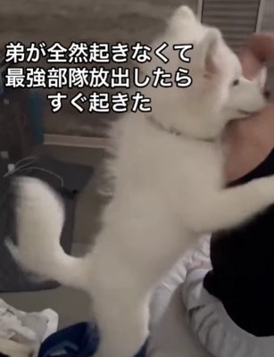 容赦ない姿に爆笑！！