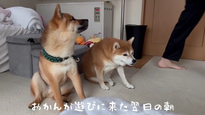 ひまりちゃんとゆきちくん