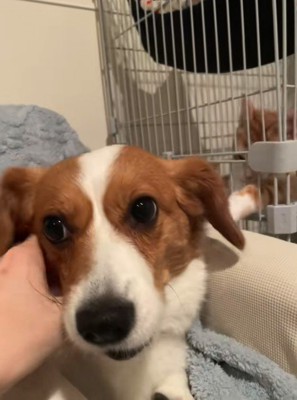 やっぱり被害者面（笑）