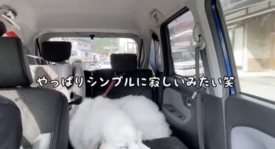 「ろのちゃん…」