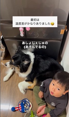 愛を育んできたレアちゃんと男の子5