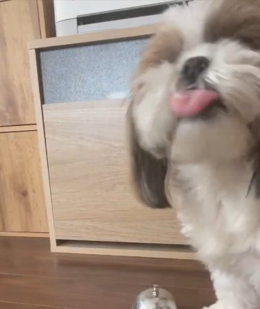 おやつ