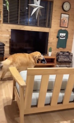 お部屋をぐるり