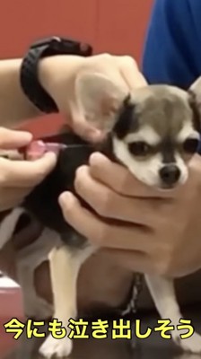 ついにその時が