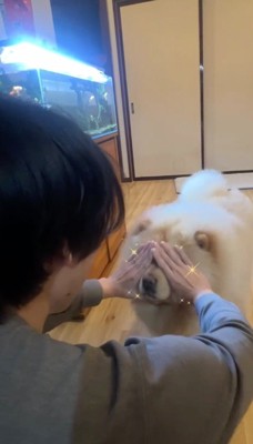 飼い主が手で作った輪の中に鼻を入れる犬