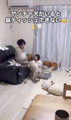 ぬいぐるみで遊んでる