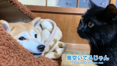 ももちゃんは無視!
