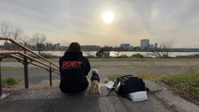 景色を眺める男性と犬