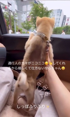 ドライブ中のせらちゃん4