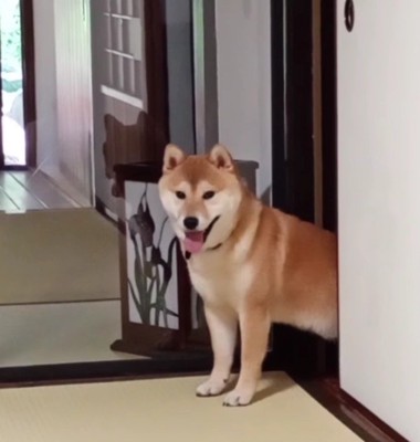 現在はデビューしてます♪