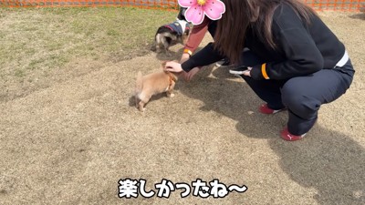 撫でてもらえました♡