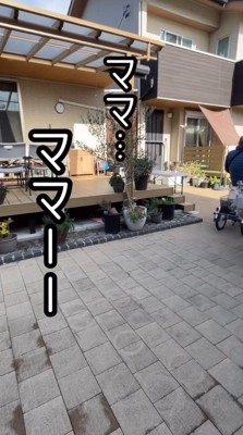 年配男性が運転する電動式三輪車のカゴに乗って、女性に助けを求める犬