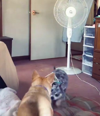 どうしたどうした？