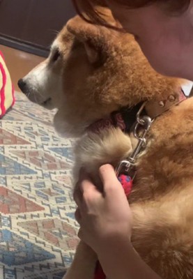 「今はやめとく…」