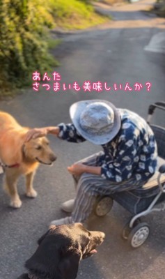 ゆず君とおばあちゃん