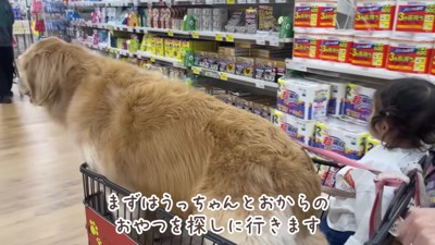 乗り物大好きな3人は…