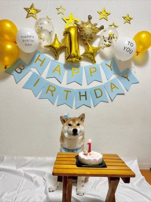 そらくんとの出会いとその後の様子⑩