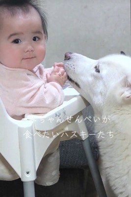 おせんべいが欲しい諭吉くんと英吉くん