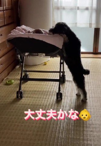 「赤ちゃん元気かな?」
