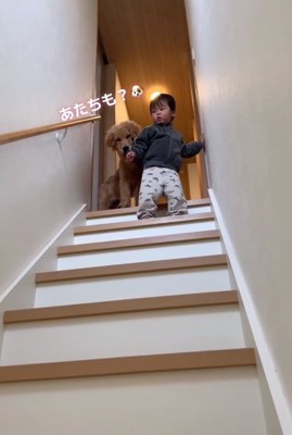 ママを見るころもちゃん