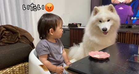 「ちゃんと謝って!!」