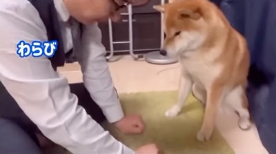 握り拳を差し出す