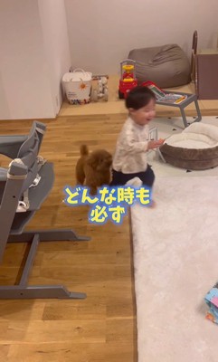 男の子を心配するレオくん9