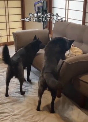 ツムギちゃんと娘さん3