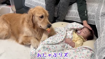 寄り添うおからちゃんの口には…