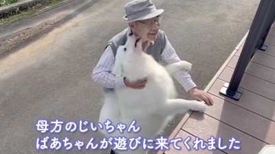 祖父母がやってきた