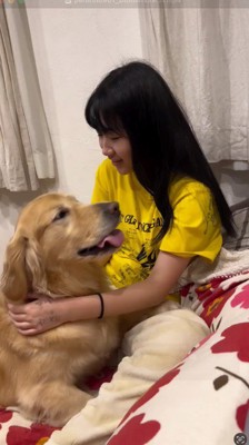女の子の近くに寄って顔を見つめる犬