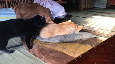 奥の部屋に移動したい天くん
