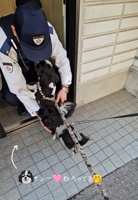 警察官の顔に鼻を近づける犬