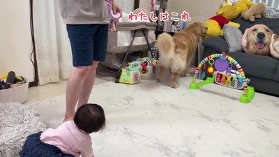 「私はこっちにするね」