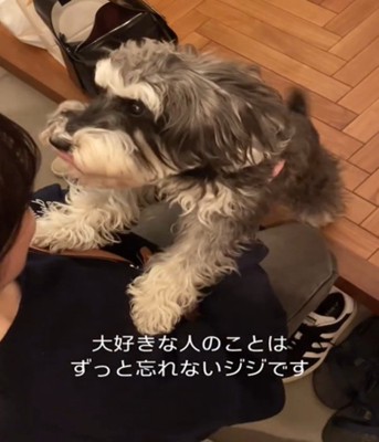 抱きつく犬2