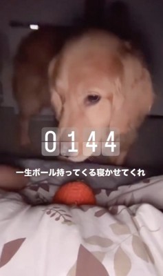 「おねがいします…」