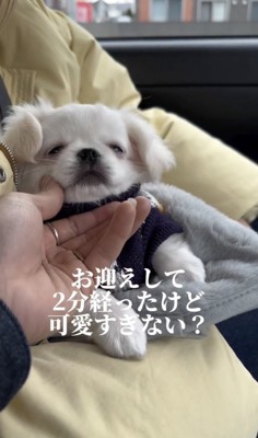 リラックスしてる？