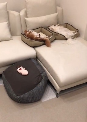 ぴったりシンクロ
