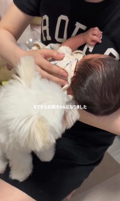 ベポちゃんと赤ちゃん9