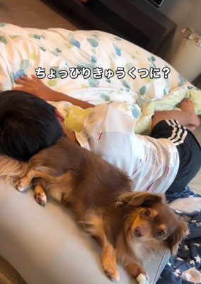 きゅうくつなアムくん
