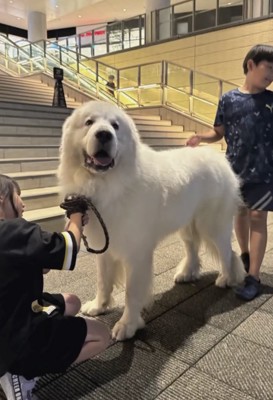 みんながほっこり