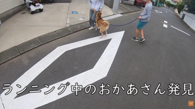 散歩中にお母さんに会った時のワンジローくん5