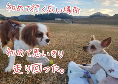 くうちゃんとだいちくん