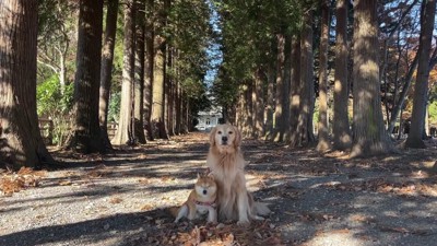 公園でのんびりお散歩