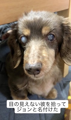 無事に保護されました