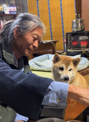 犬とお父さん