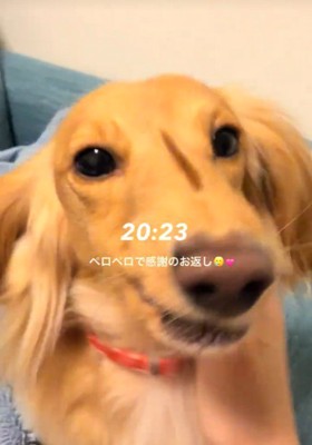 大満足のようです♡